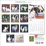 Japanese Chin 2011 Calendar