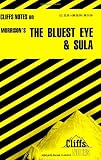 Notes on Morrisons "The Bluest Eye" and "Sula" (cliffs notes)