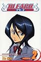 Bleach: v. 2