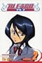 Bleach, Vol. 2