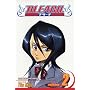 Bleach: v. 2