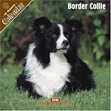 Border Collie 2008 Wall Calendar