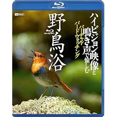 �V���t�H���X�gBlu-ray �쒹�� �n�C�r�W�����f���Ɩ����Ŗ����ރo�[�`�����E�o�[�h�E�H�b�`���O(Blu-ray Disc)