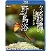 �V���t�H���X�gBlu-ray �쒹�� �n�C�r�W�����f���Ɩ����Ŗ����ރo�[�`�����E�o�[�h�E�H�b�`���O(Blu-ray Disc)
