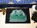 Binghamton Starter Rug 20`x30`