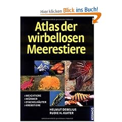 Atlas der wirbellosen Meerestiere: Weichtiere, W�rmer, Stachelh�uter, Krebstiere