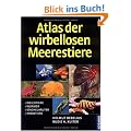 Atlas der wirbellosen Meerestiere: Weichtiere, W�rmer, Stachelh�uter, Krebstiere