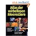Atlas der wirbellosen Meerestiere: Weichtiere, W�rmer, Stachelh�uter, Krebstiere