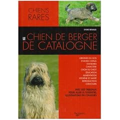 Le chien de berger de Catalogne