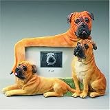 Bull Mastiff Dog Photo Frame (4 X 6)