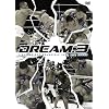 DREAM.3 ライト級グランプリ2008 2nd ROUND