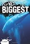 Clash Top 10 Biggest