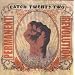 Permanent Revolution