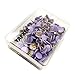 VAPKER 200 PCS Thumb Tacks Purple Plastic Round Head Thumbtacks