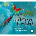 Los Pajaros Perdidos : The South American Project
