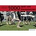 1000 Spiel- und �bungsformen zum Aufw�rmen
