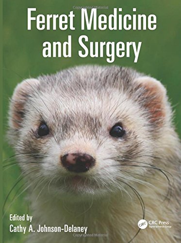 Ferret Medicine and Surgery