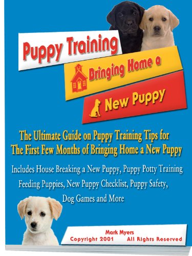 puppy training