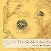 The Goldendoodle