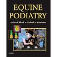 Equine Podiatry by  Andrea Floyd and Richard Mansmann