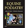 Equine Podiatry