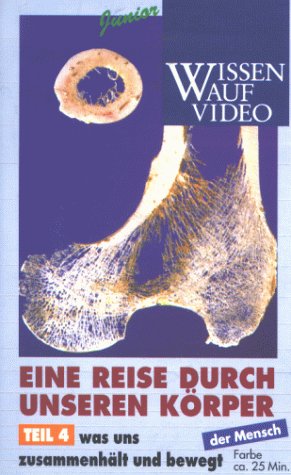Eine Reise durch unseren Körper 4 - Was uns zusammenhält und bewegt