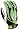 Lime/Black