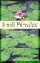 Small Miracles