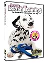 Dog & Puppy Training: Interactive Loose Leash Training