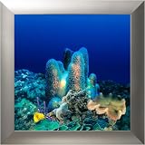 AquaVista AV500CRSL Wall-Mounted Aquarium AV 500 Coral Reef Background with Silver Frame