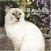 ragdoll21  - Ragdoll Cats 2006 Calendar