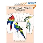 Edward Lear Parrots Postcards: 24 Ready-to-Mail Cards (Card Books) by Edward Lear