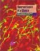 Book Neuroscience At A Glance