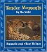 Tender Moments in the Wild: Animals and Their Babies (Moments in the Wild series)