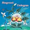Image of album by Blueground Undergrass