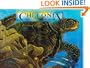 Chelonia : Return of the Sea Turtle