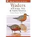 Waders of Europe, Asia and North America (Helm Field Guides)