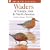 Waders of Europe, Asia and North America (Helm Field Guides)