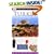Turkey (Eyewitness Travel Guides)