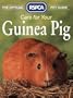 Care for Your Guinea Pig (Official Rspca Pet Guides)