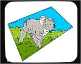 Mouse Pad with australia, bear, grass, gray, koala