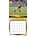 Turner Perfect Timing 2015 Pittsburgh Steelers Team Wall Calendar, 12 x 12 Inches (8011710)