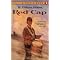 Civil War Books for Kids