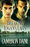 Breaking Logan's Laws (Quinn Security) [Paperback]