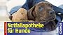 Notfallapotheke f�r Hunde: F�r unterwegs