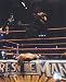 The Undertaker - Wrestlemania 24, 2008 #485'' - Licensed Photo by PhotoFile (8x10)