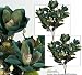 TWO 2' Magnolia Artificial Silk Flower Bushes (Green) for Home, Garden and Decoration