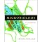 VangoNotes for Microbiology: An Introduction 9/e