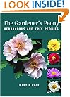 The Gardener's Peony