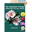 The Gardener's Peony